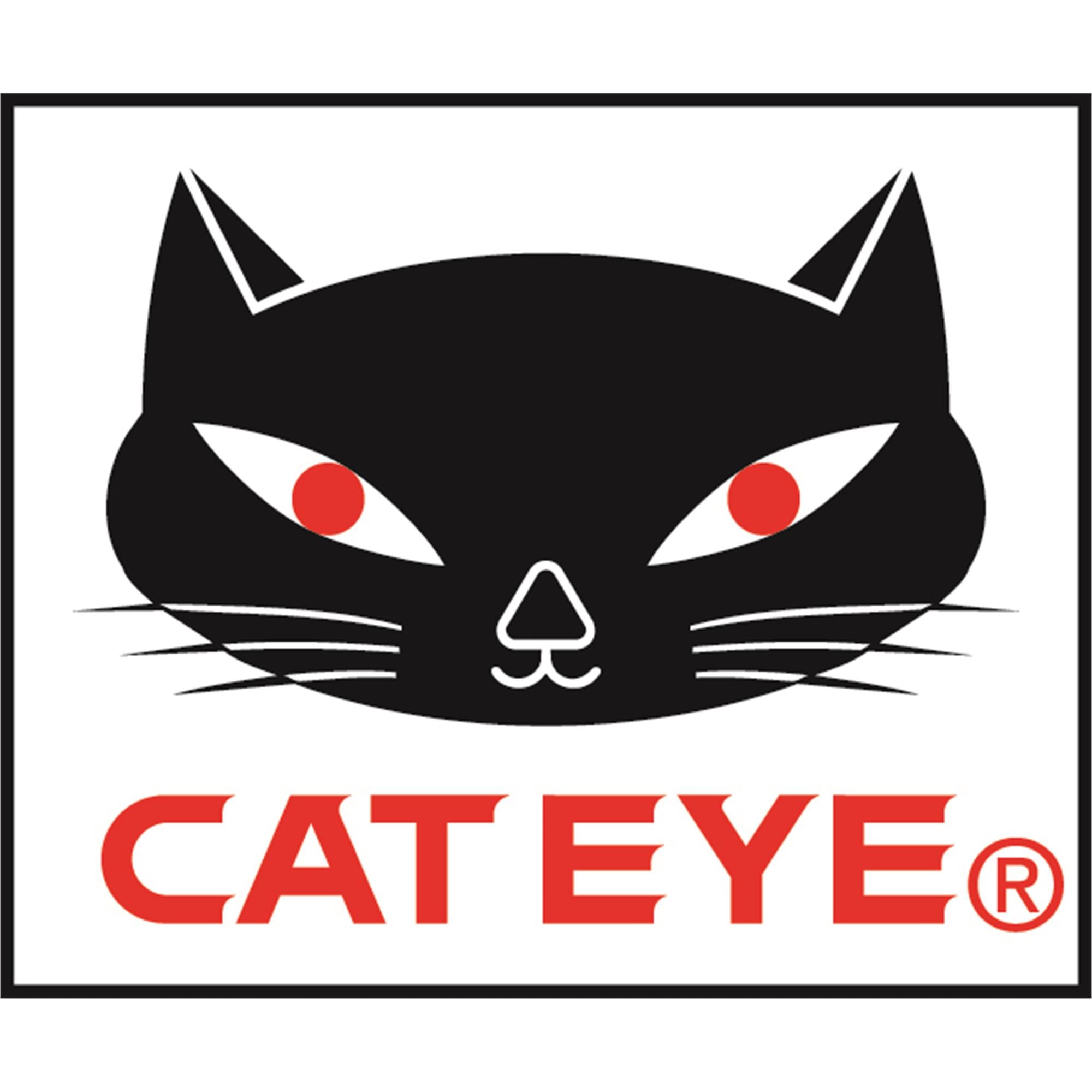 USB C Charge Cable