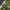 Thumbnail for Product image