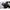 Thumbnail for Product image