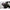 Thumbnail for Product image