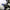 Thumbnail for Product image
