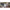 Thumbnail for Product image