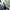 Thumbnail for Product image