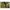 Thumbnail for Product image