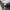 Thumbnail for Product image