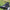 Thumbnail for 